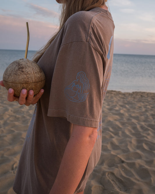 Person holding a coconut on a beach with a sunset in the background