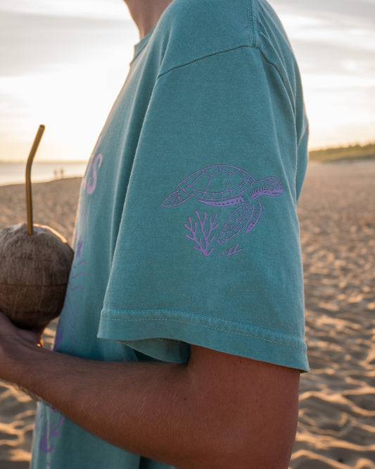 Person wearing a teal shirt with a purple turtle design on a beach.